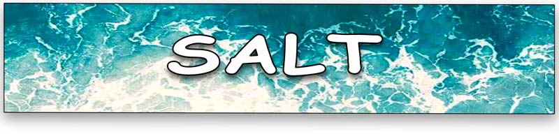 Salt Convention Banner