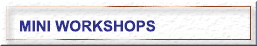 link to mini-workshops page