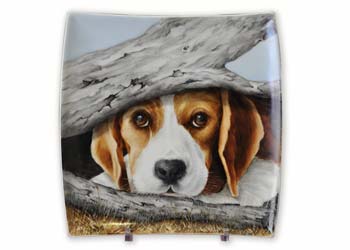 Plate by Connie Risbey